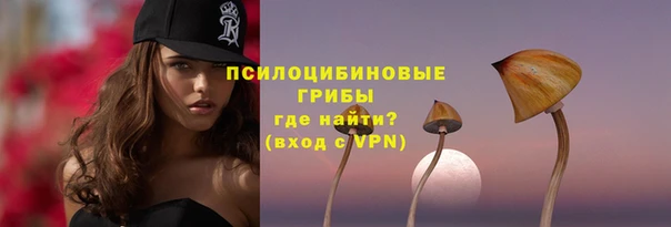 СК Алексин