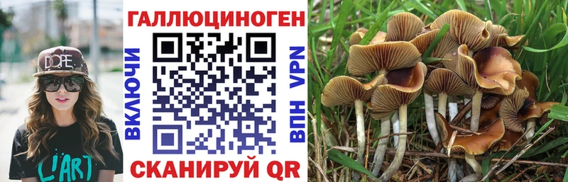 Псилоцибиновые грибы MAGIC MUSHROOMS  продажа наркотиков  Куйбышев 